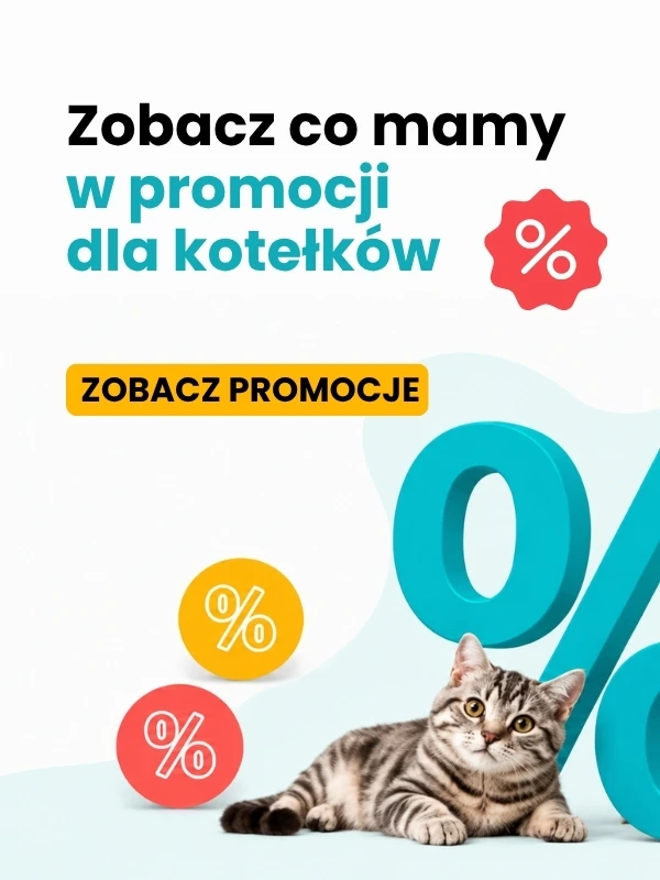 Mega obraz menu248445384